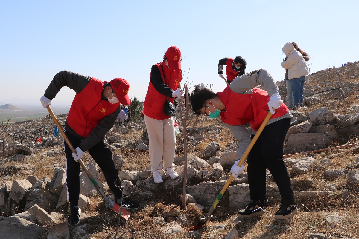 春回大地 植树添绿 我院组织志愿者开展义务植树活动