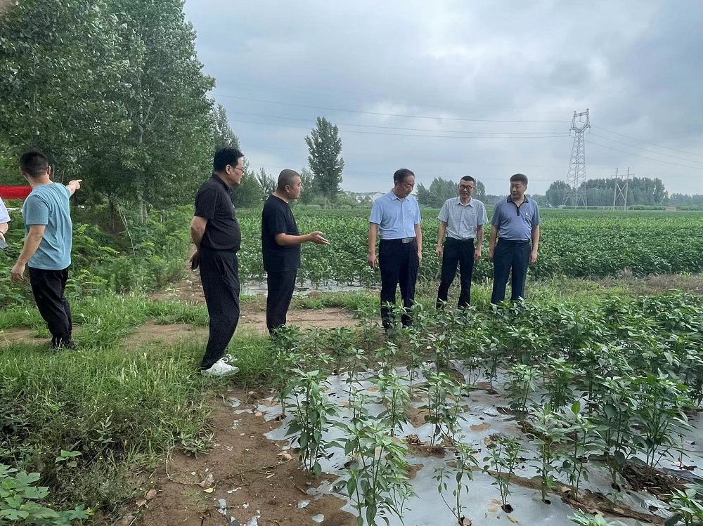 【庆七一·强党性】济宁市公共卫生医疗中心党委开展党建联建活动